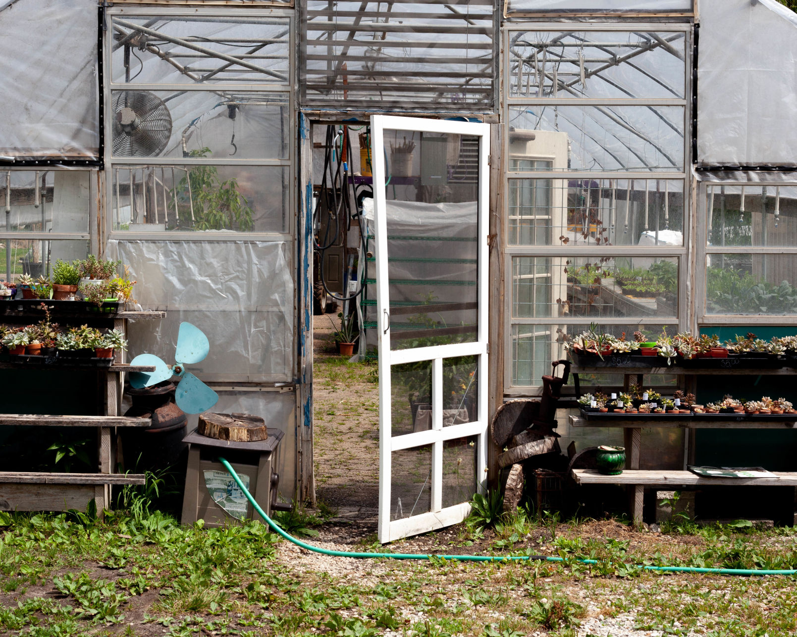 Urban Roots